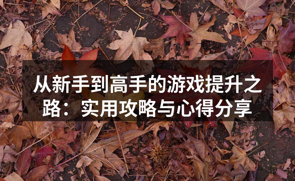 从新手到高手的游戏提升之路：实用攻略与心得分享