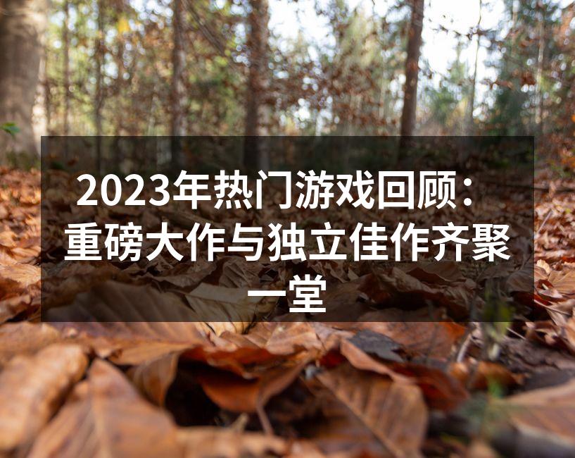 2023年热门游戏回顾：重磅大作与独立佳