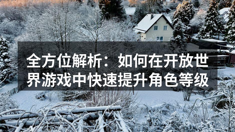 全方位解析：如何在开放世界游戏中快速提升角色等级